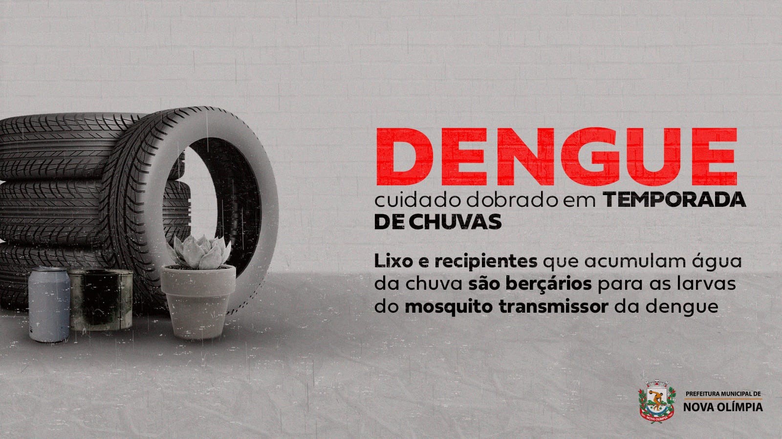 Imagem AI QUE MORA O PERIGO - CAMP_DENGUE